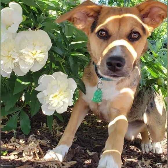 LIVE Show Listing - Picture 10 of 10